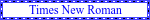 times-new-roman font
