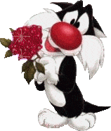 Sylvester Picture
