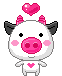 Pig Nose