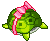 Turtle Gift Picture