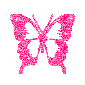 Tiny Pink Butterfly Picture