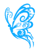 Baby Blue Butterfly
