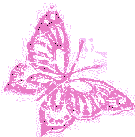 Pink Glitter Butterfly