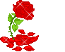 Red Flower Picture