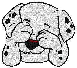 Shy Dalmation