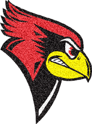 Cardinals Picture