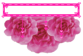 B Pink Flowers Picture