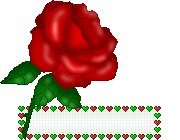 B Rose Picture