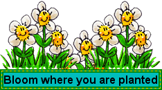 Bloom Planted