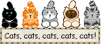 Cats Cats Cats