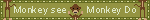 Monkey See Do Picture