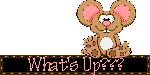 Whats Up Picture