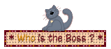 Who Is The Boss Picture