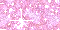 Pink 1