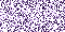 Selected glitter