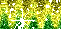 Yellow Green